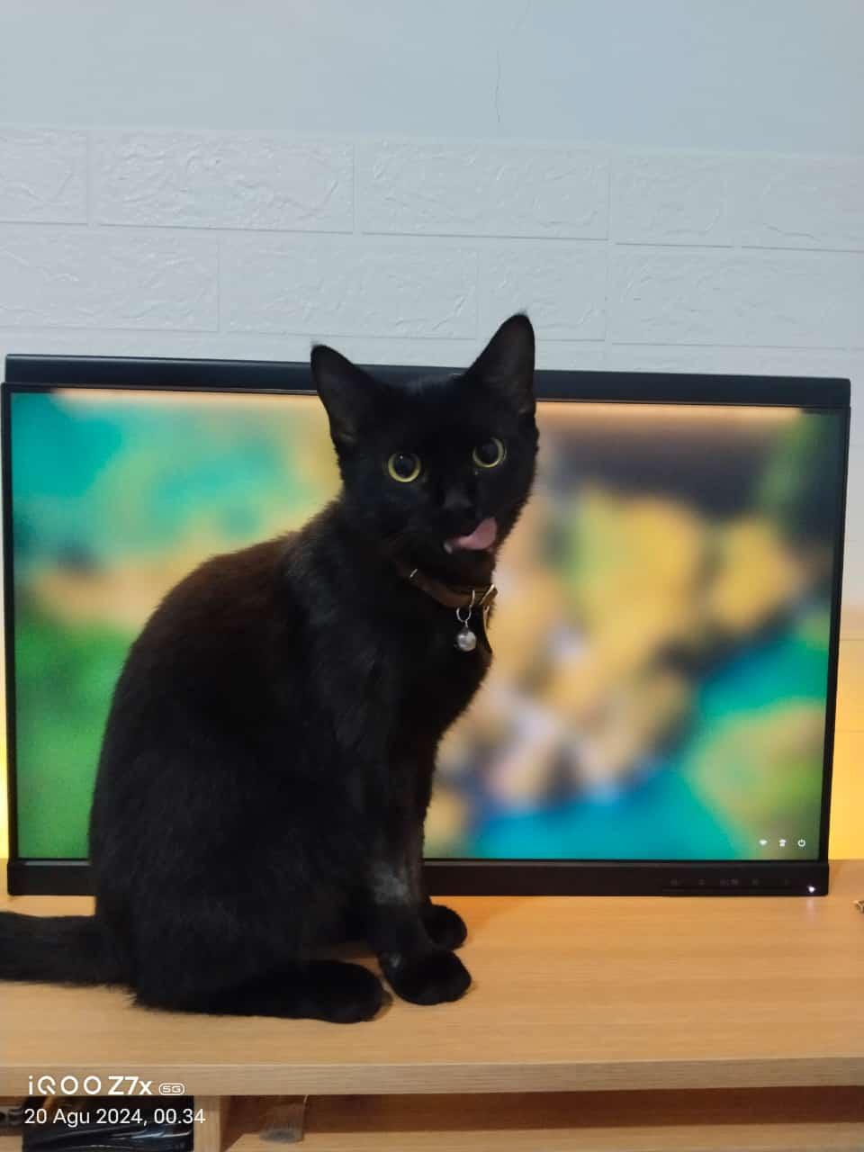 Materi Emosi Article